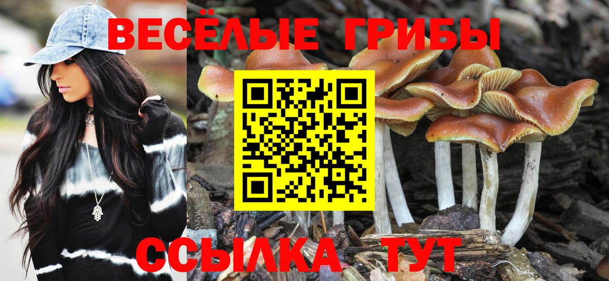 Псилоцибиновые грибы Magic Shrooms Белгород