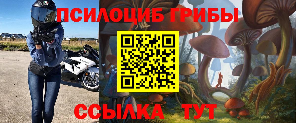 закладка  Галлюциногенные грибы прущие грибы  Вход с VPN  Белгород 